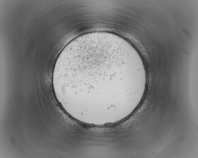 X0000111781185200908201103