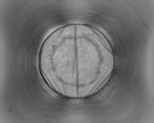 X0000111781187200908201103