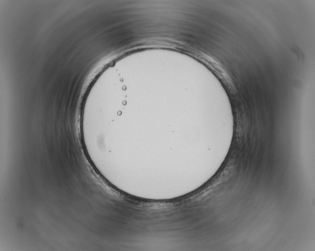 X0000111781188200908201103
