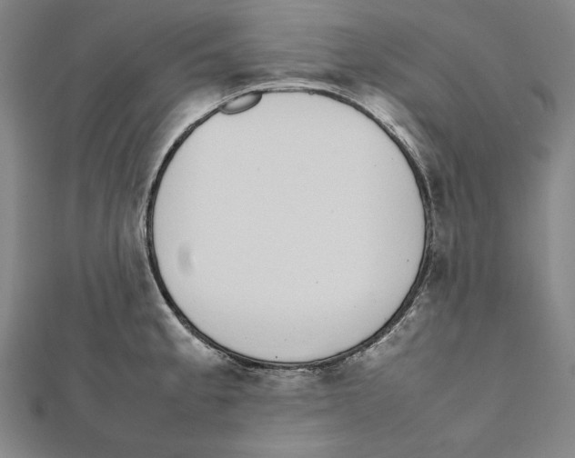 X0000111781189200908201103