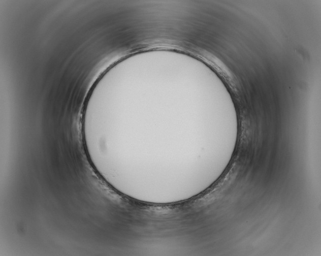 X0000111781190200908201103