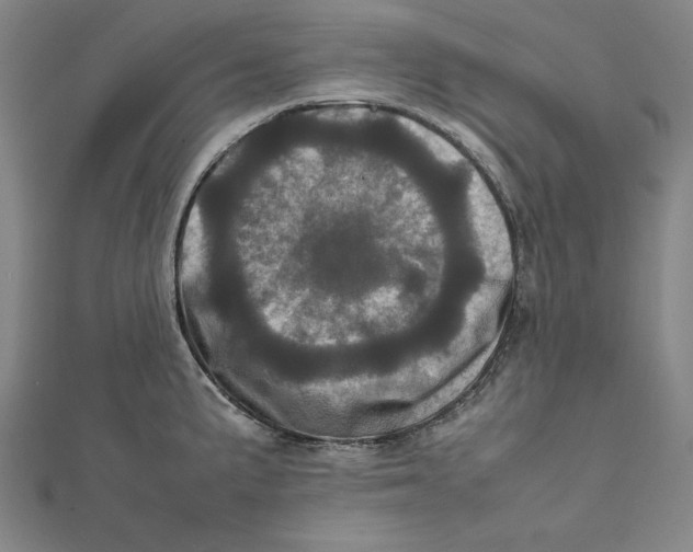 X0000111781191200908201103