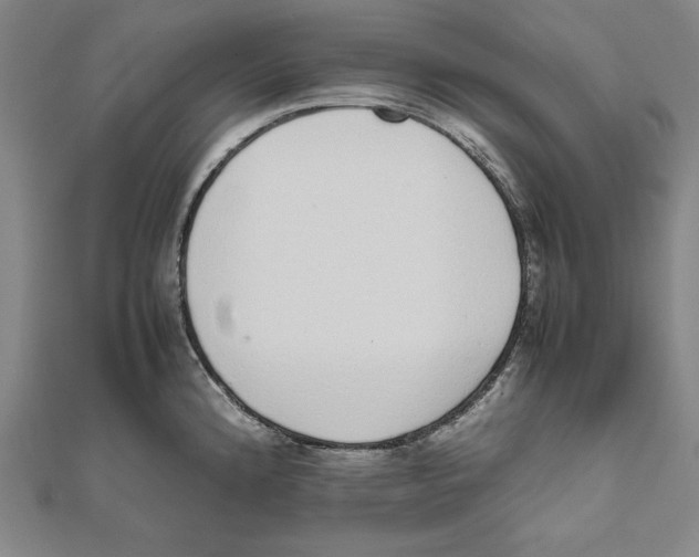 X0000111781192200908201103
