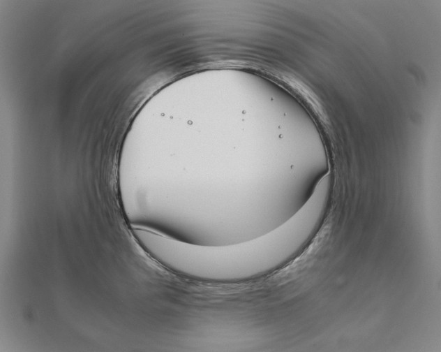 X0000111781193200908201103