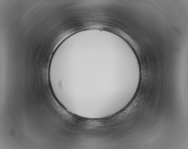 X0000111781194200908201103