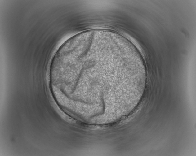 X0000111781195200908201103