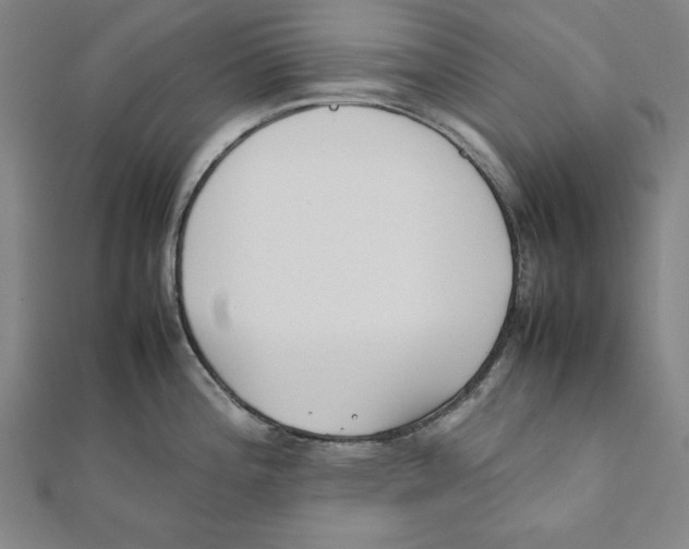 X0000111781196200908201103
