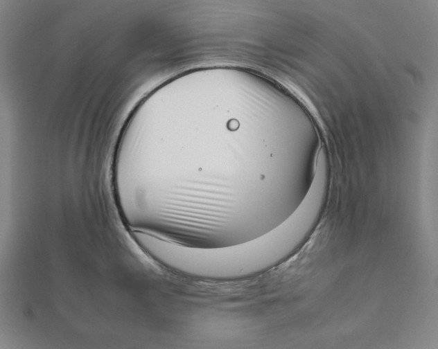 X0000111781197200908201103