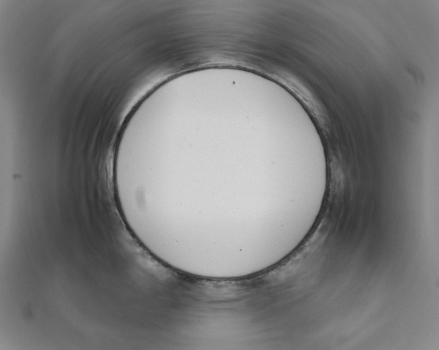X0000111781198200908201103