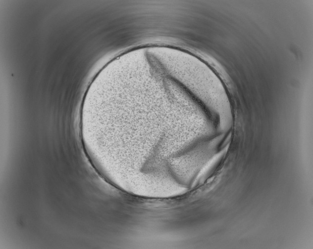 X0000111781199200908201103