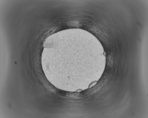 X0000111781201200908201102
