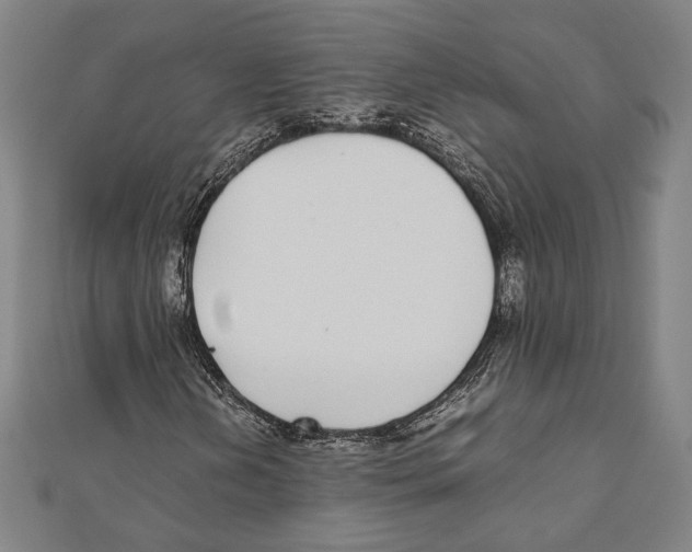 X0000111781202200908201102