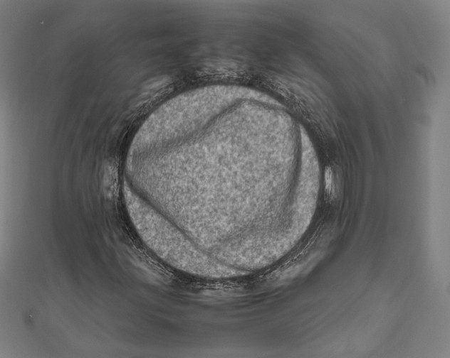 X0000111781203200908201102