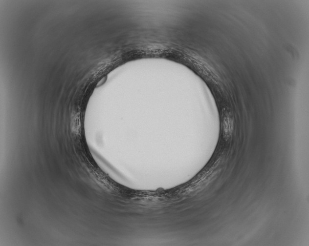 X0000111781204200908201102