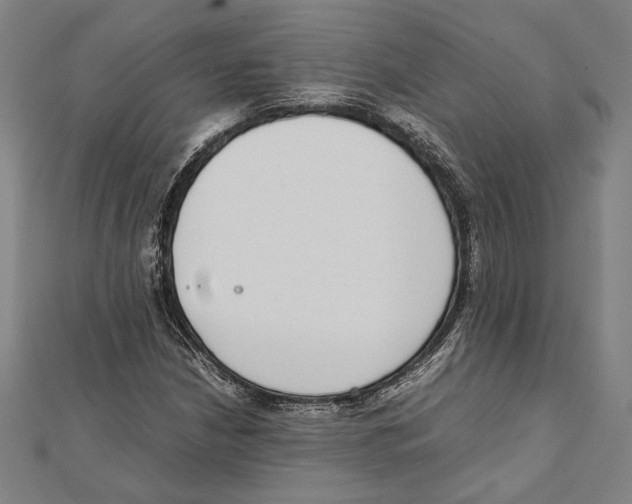 X0000111781210200908201102