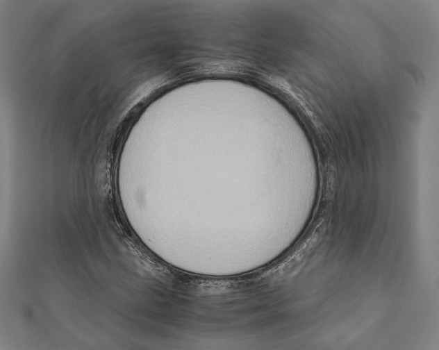 X0000111781211200908201102