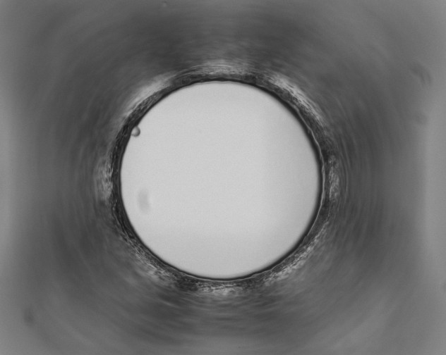 X0000111781213200908201103