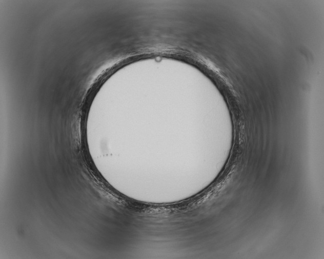 X0000111781214200908201103