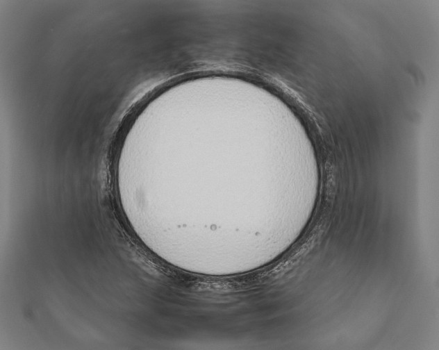 X0000111781215200908201103