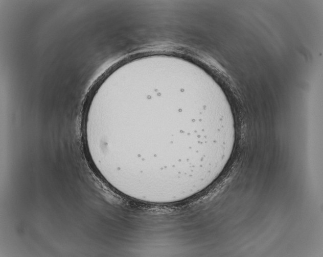 X0000111781216200908201103