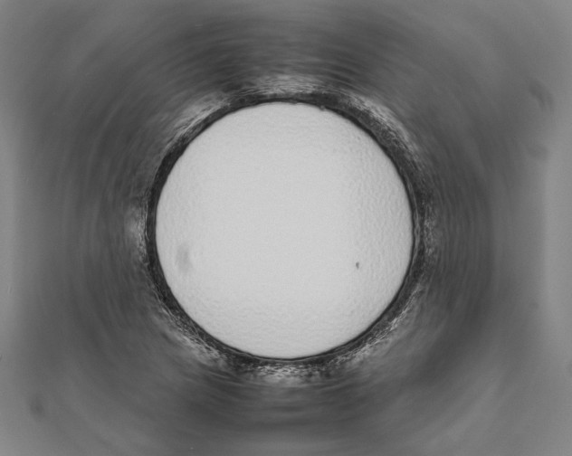X0000111781217200908201103