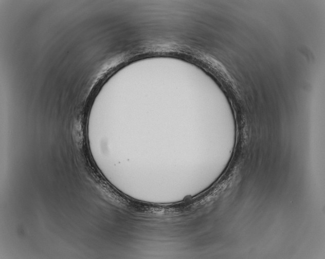 X0000111781218200908201103