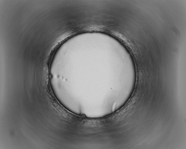 X0000111781219200908201103