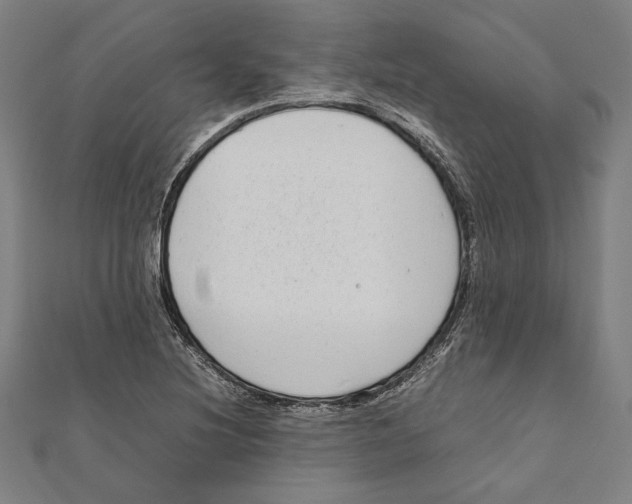 X0000111781220200908201103