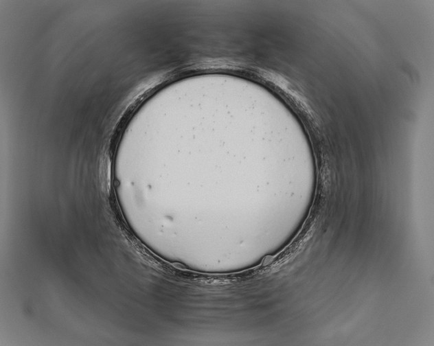 X0000111781221200908201103