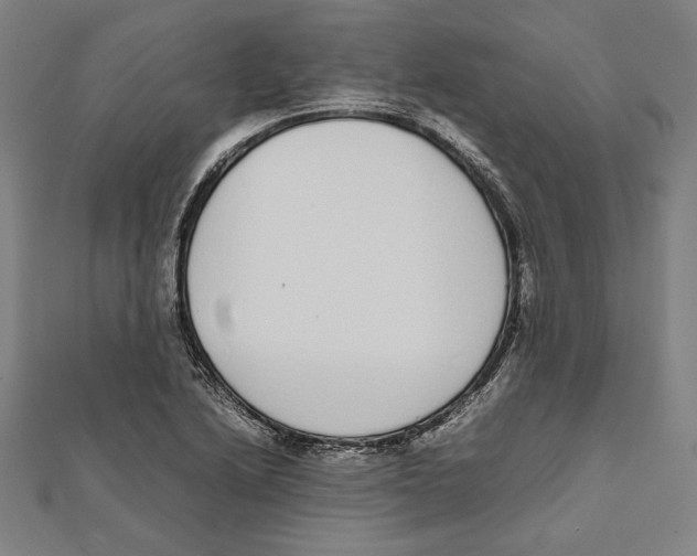 X0000111781222200908201103