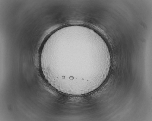 X0000111781223200908201103