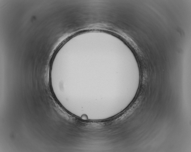 X0000111781224200908201103