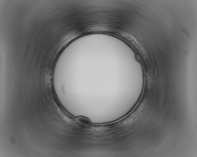X0000111781225200908201103