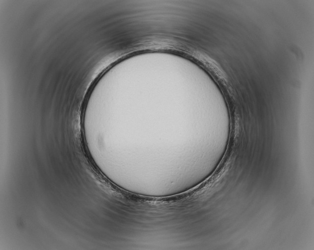 X0000111781226200908201103