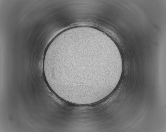 X0000111781228200908201103