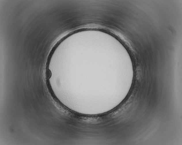 X0000111781229200908201103