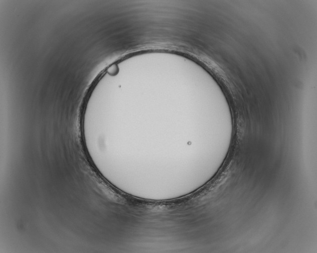 X0000111781230200908201103