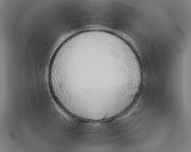 X0000111781231200908201103