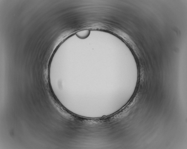 X0000111781234200908201103