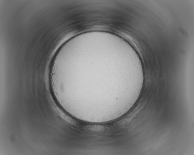 X0000111781235200908201103
