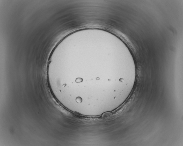 X0000111781236200908201103