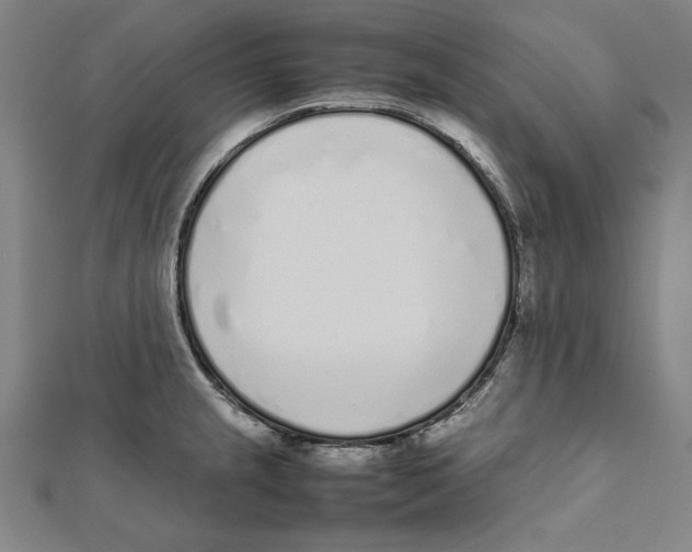 X0000111781237200908201103