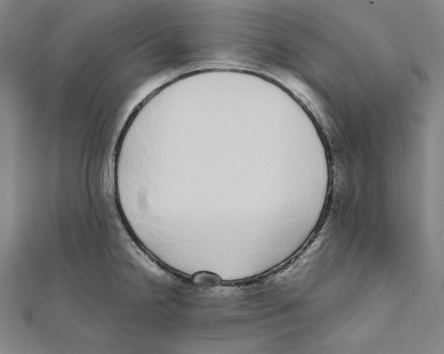 X0000111781238200908201103