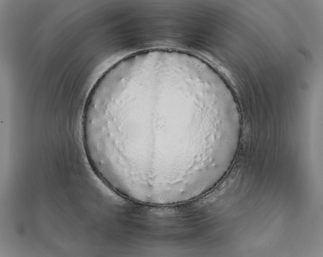 X0000111781239200908201103