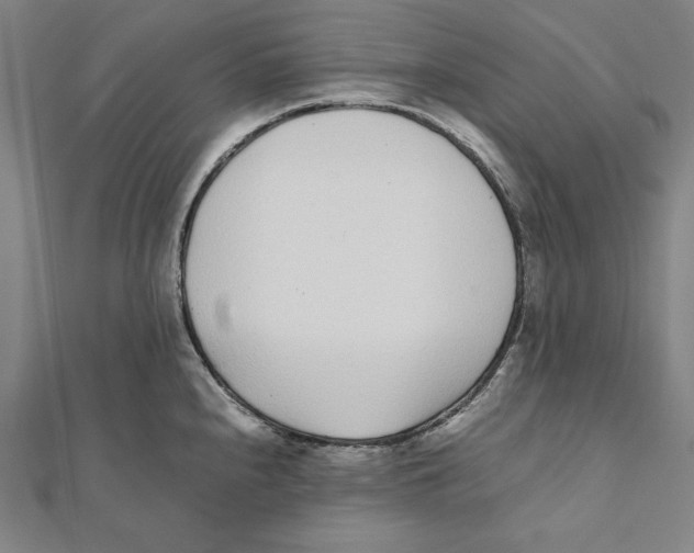 X0000111781240200908201103