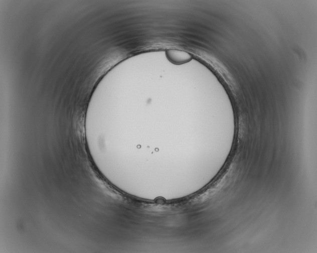 X0000111781241200908201103