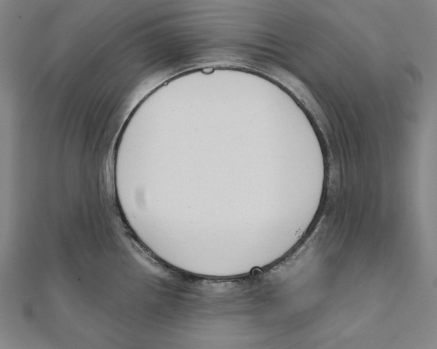X0000111781242200908201103