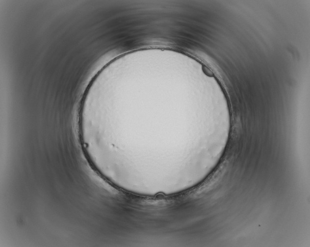 X0000111781243200908201103
