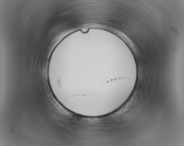 X0000111781244200908201103