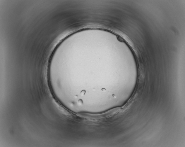 X0000111781245200908201103